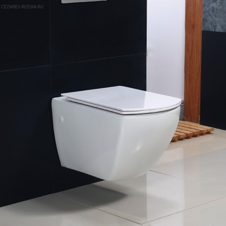 Крышка-сиденье BelBagno CARINA BB5046SC